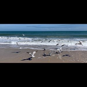 Meet your Posher, Karin